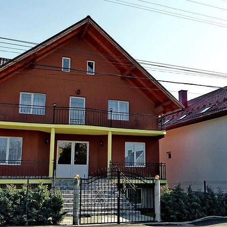 Pensiunea Magnolia Ocna Şugatag Exterior foto